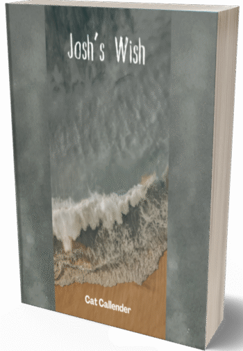 Josh's Wish. A short horror story.